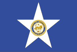 Flag of Houston, Texas